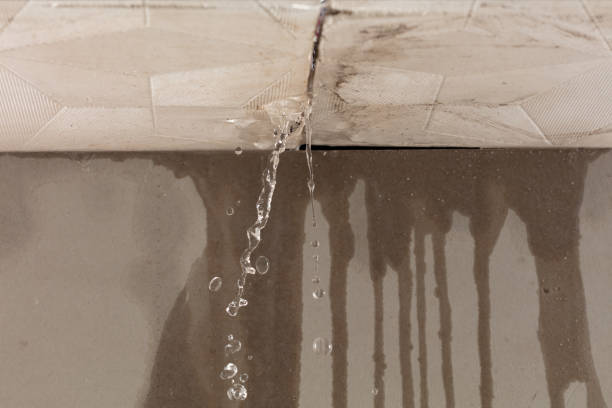 Professional Flood Damage Cleanup technician working in Genoa, OH
